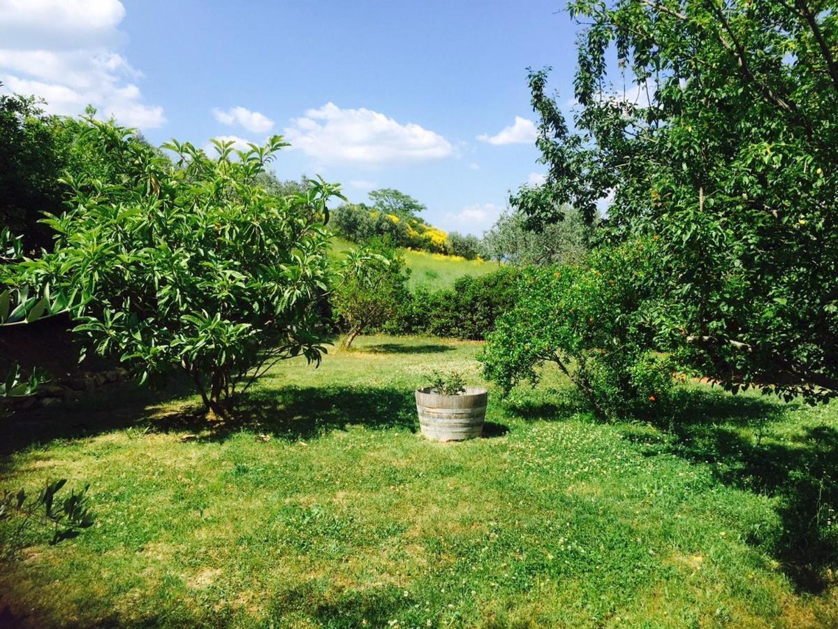 Rosso Del Chianti Bed and Breakfast Panzano in Chianti Εξωτερικό φωτογραφία