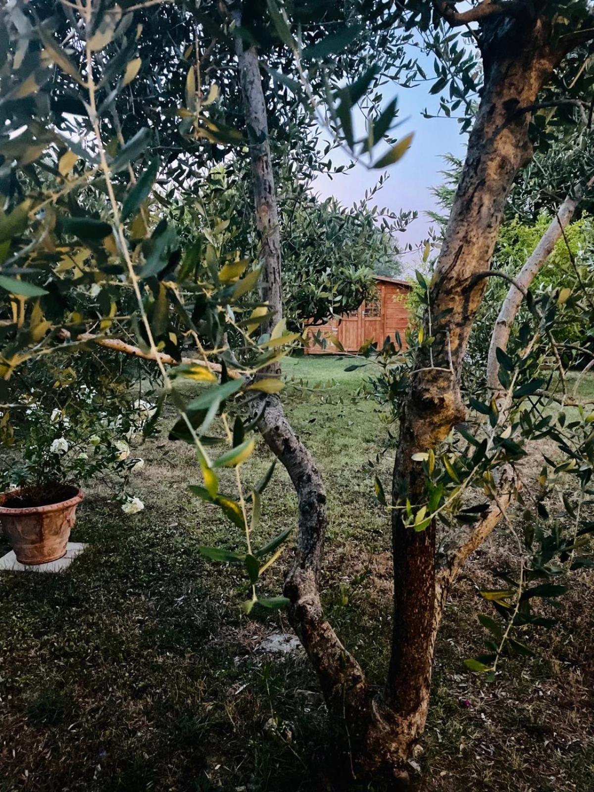 Rosso Del Chianti Bed and Breakfast Panzano in Chianti Εξωτερικό φωτογραφία